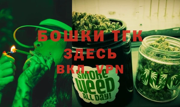 тгк Верея